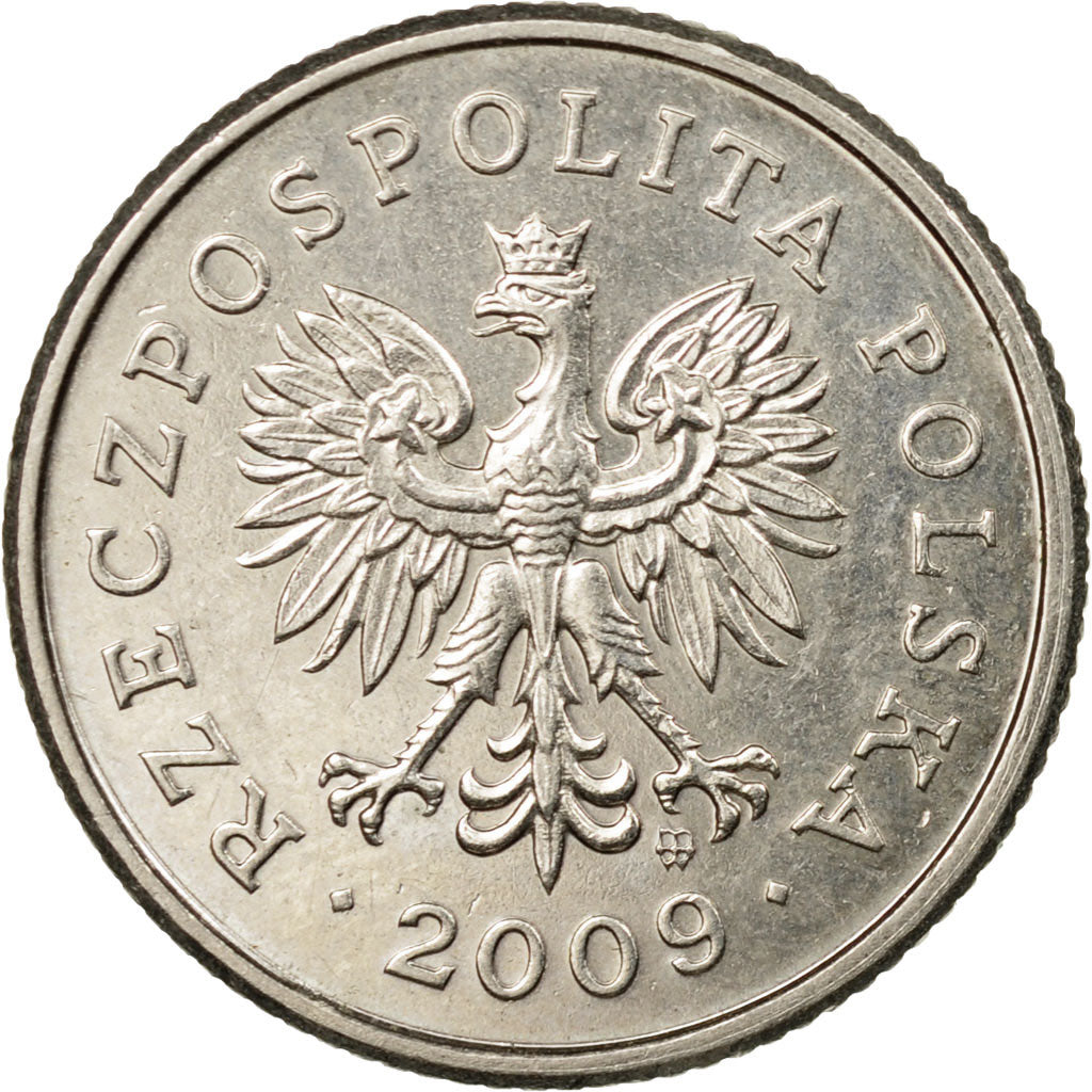 Coin, Poland, 20 Groszy, 2009, Warsaw, EF(40-45), Copper-nickel, KM:280