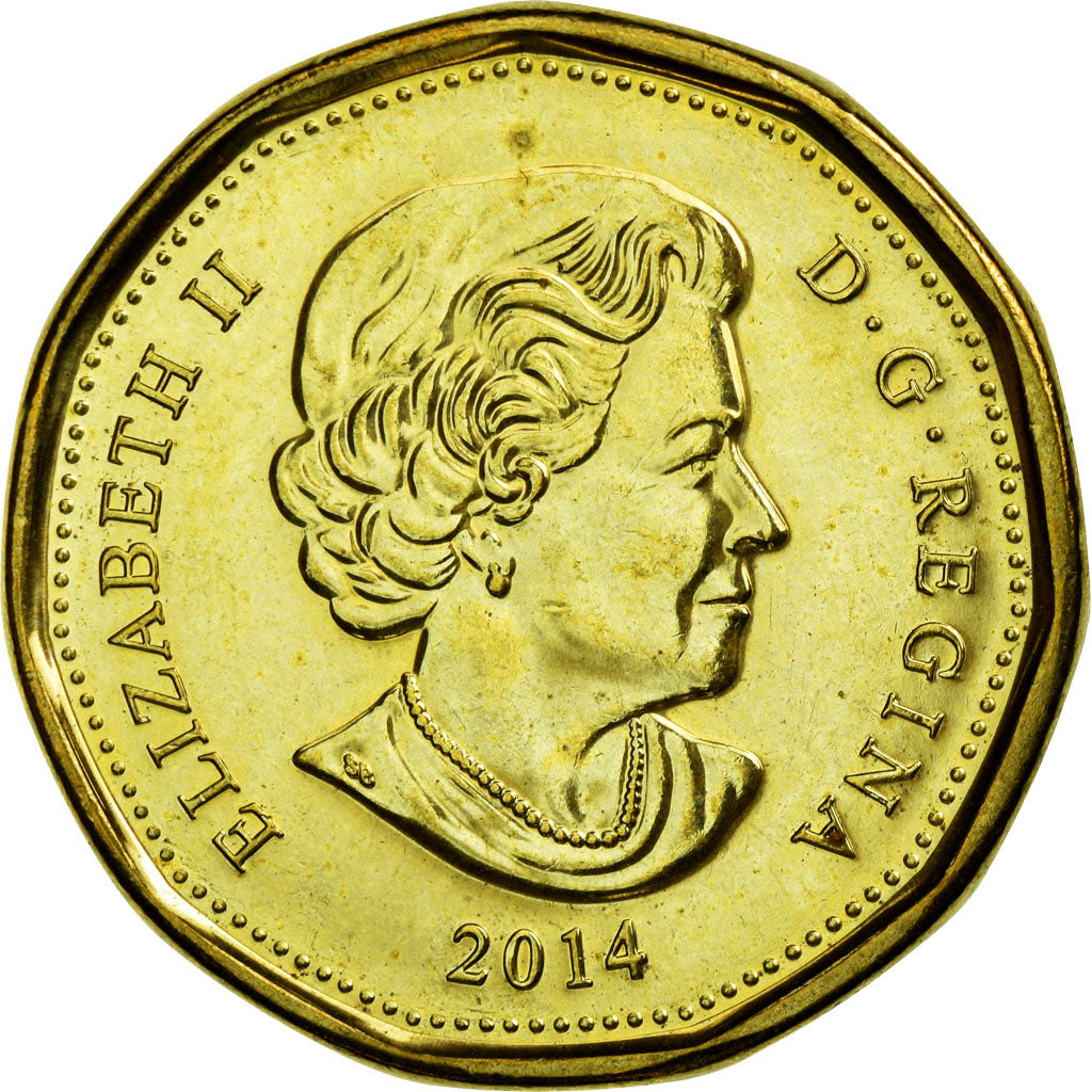Coin, Canada, Dollar, 2014, EF(40-45), Brass plated steel