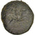 Coin, Sicily, Hieron II (274-216 BC), Hieron II, Bronze, Syracuse, VF(30-35)