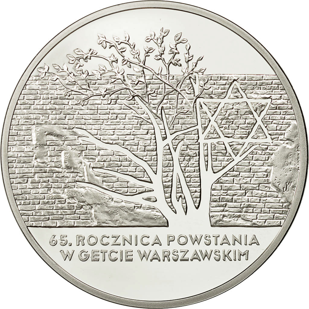 Coin, Poland, 20 Zlotych, 2008, Warsaw, MS(65-70), Silver, KM:636
