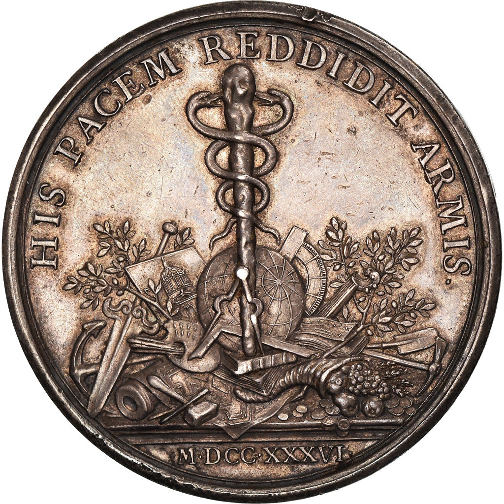 Francia, medaglia, André Hercule de Fleury, 1736, Geneva, Argento, Dassier