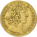 Francia, Louis XIII, Double Louis d'or, 1640, Paris, LVDO, Oro, BB, Gadoury:59