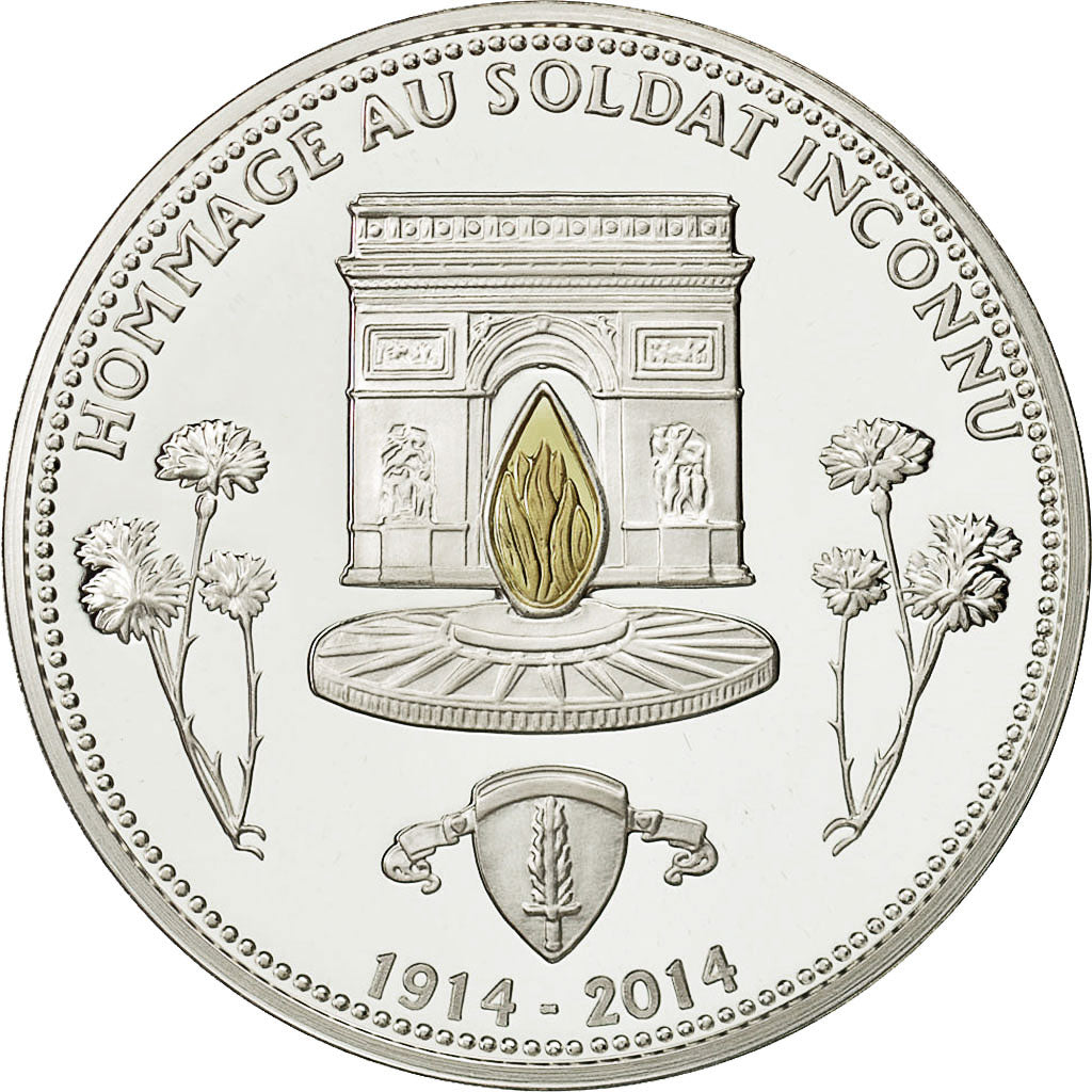 France, Medal, Centenaire Première Guerre Mondiale, Le Soldat Inconnu, History