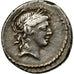 Marcia, Denarius, 82 BC, Rome, Silver, AU(55-58), Crawford:363/1d