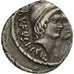 Cordia, Denarius, 46 BC, Rome, Prata, AU(50-53), Crawford:463/1b