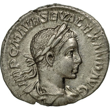 Severus Alexander, Denarius, 223, Rome, Silver, AU(55-58), RIC:32