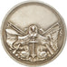 France, Medal, Sport, Natation, AU(50-53), Silvered bronze