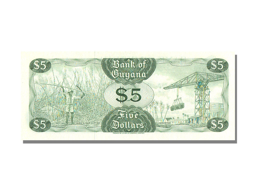 Banknote, Guyana, 5 Dollars, KM:22e, UNC(65-70)
