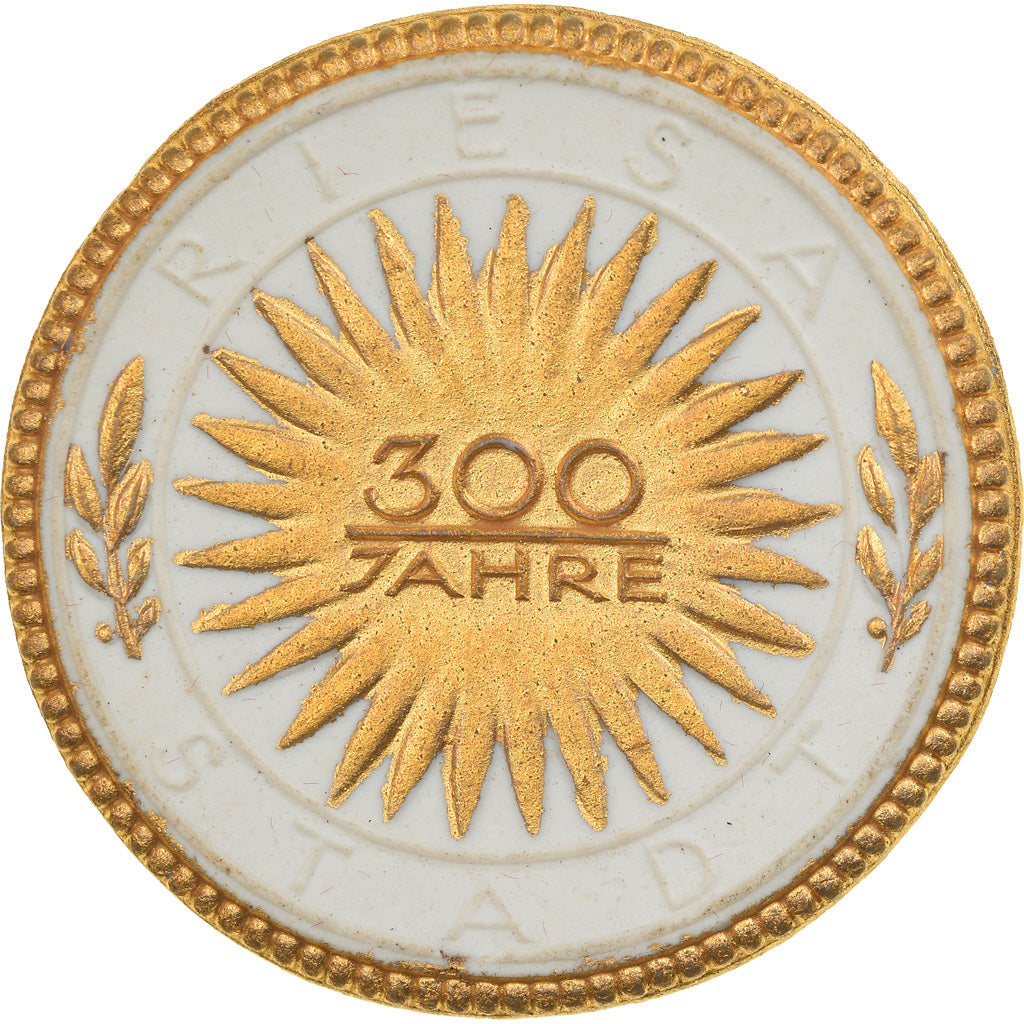 Niemcy, Medal, Riesa, 300 Jahrfeier der Stadt, 1923, MS(60-62), Porcelana
