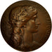 Francia, Medal, Confédération des Industries Céramiques de France, Dubois.H