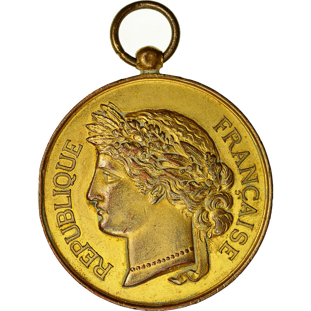 Francja, medal, Société Nationale du Tir des Communes de France, Pokryty