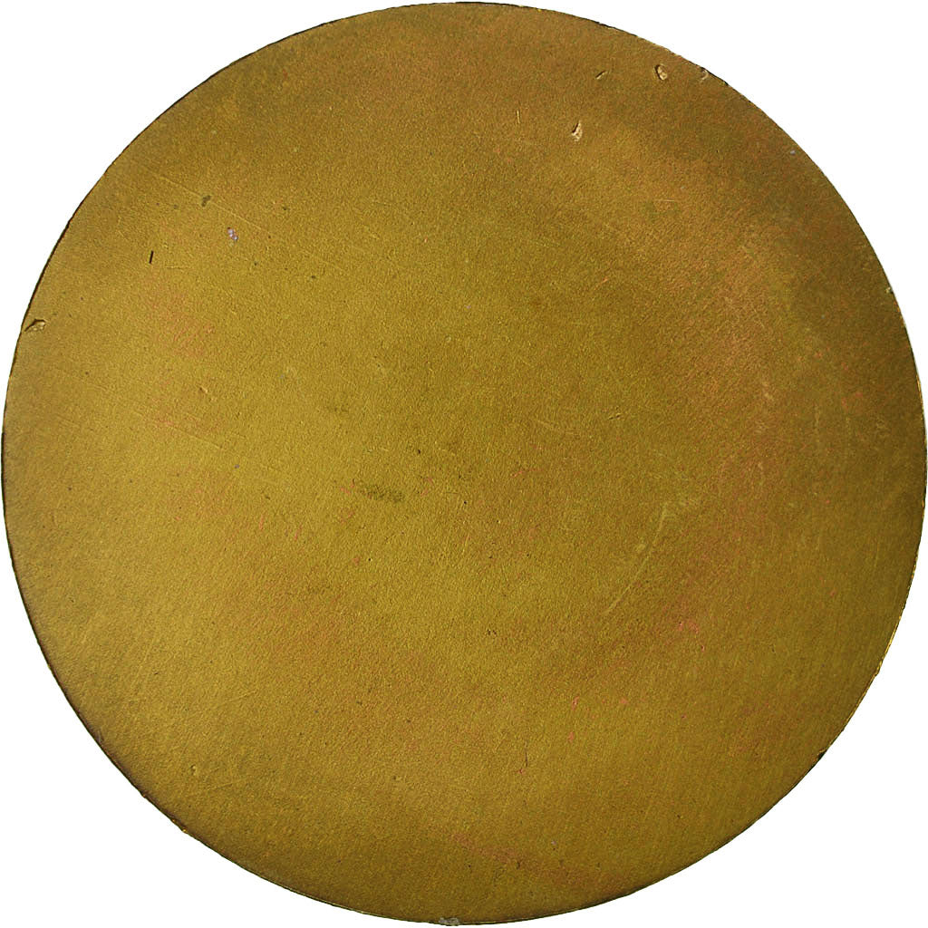 Francja, Medal, C.D.O.S, Val d'Oise, MS(63), Bronze