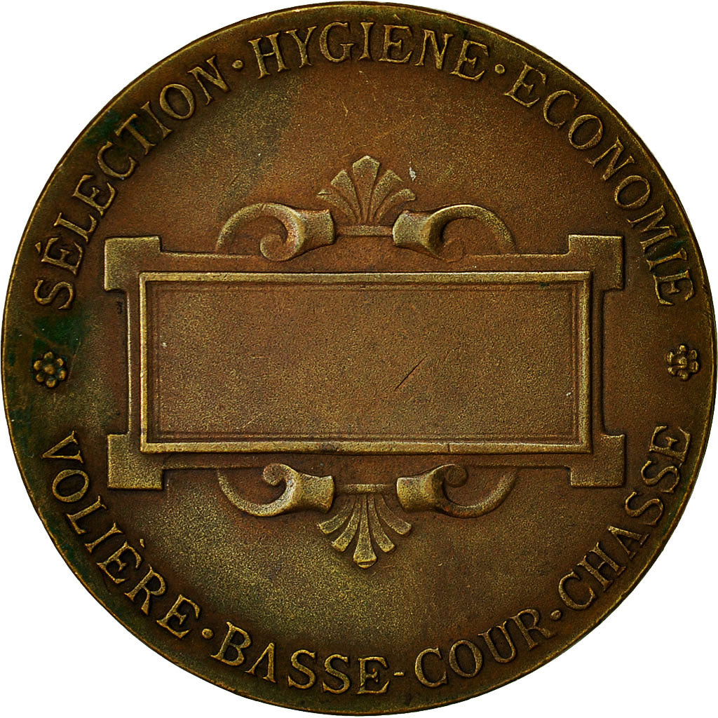 Francia, medalla, Société Centrale d'Aviculture de France, 1891, Dropsy, MBC+