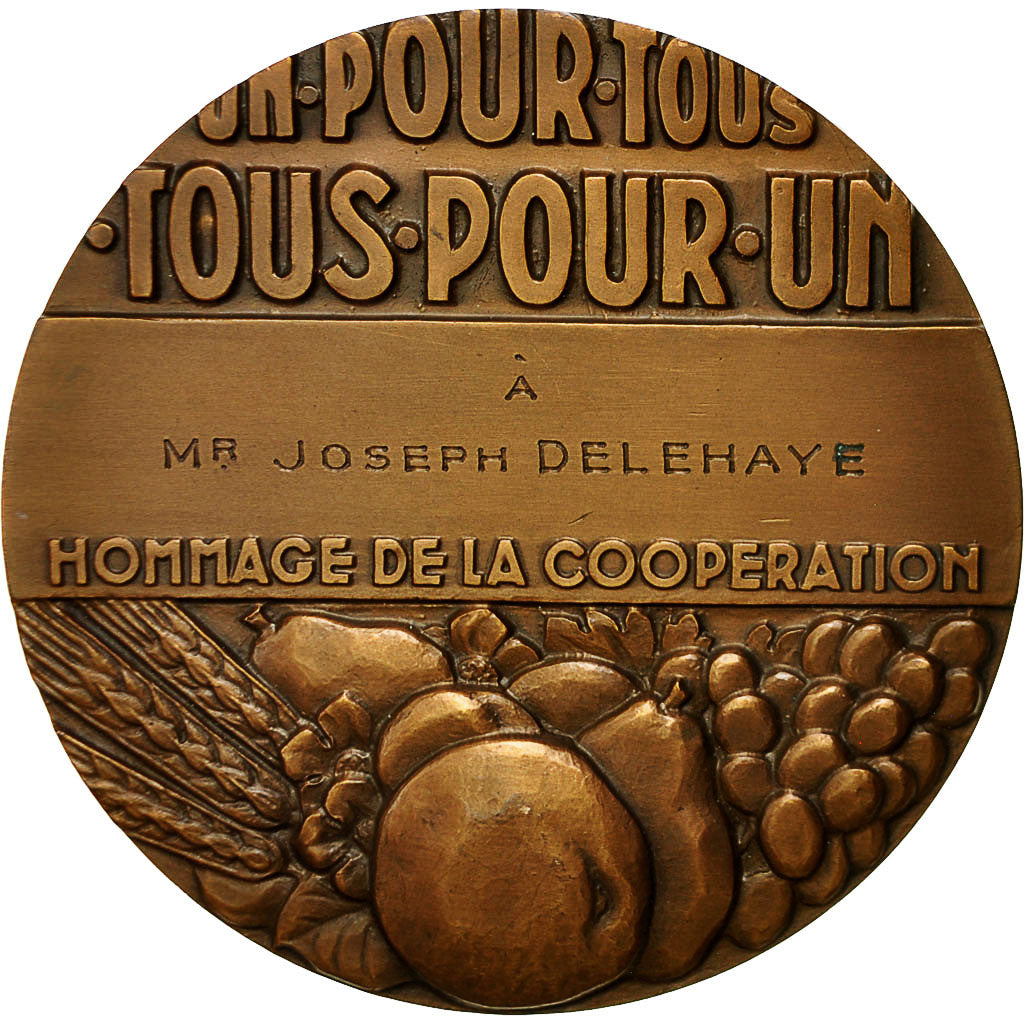 France, Medal, Hommage de la Coopération, Pelletier, Art deco, MS(64), Bronze