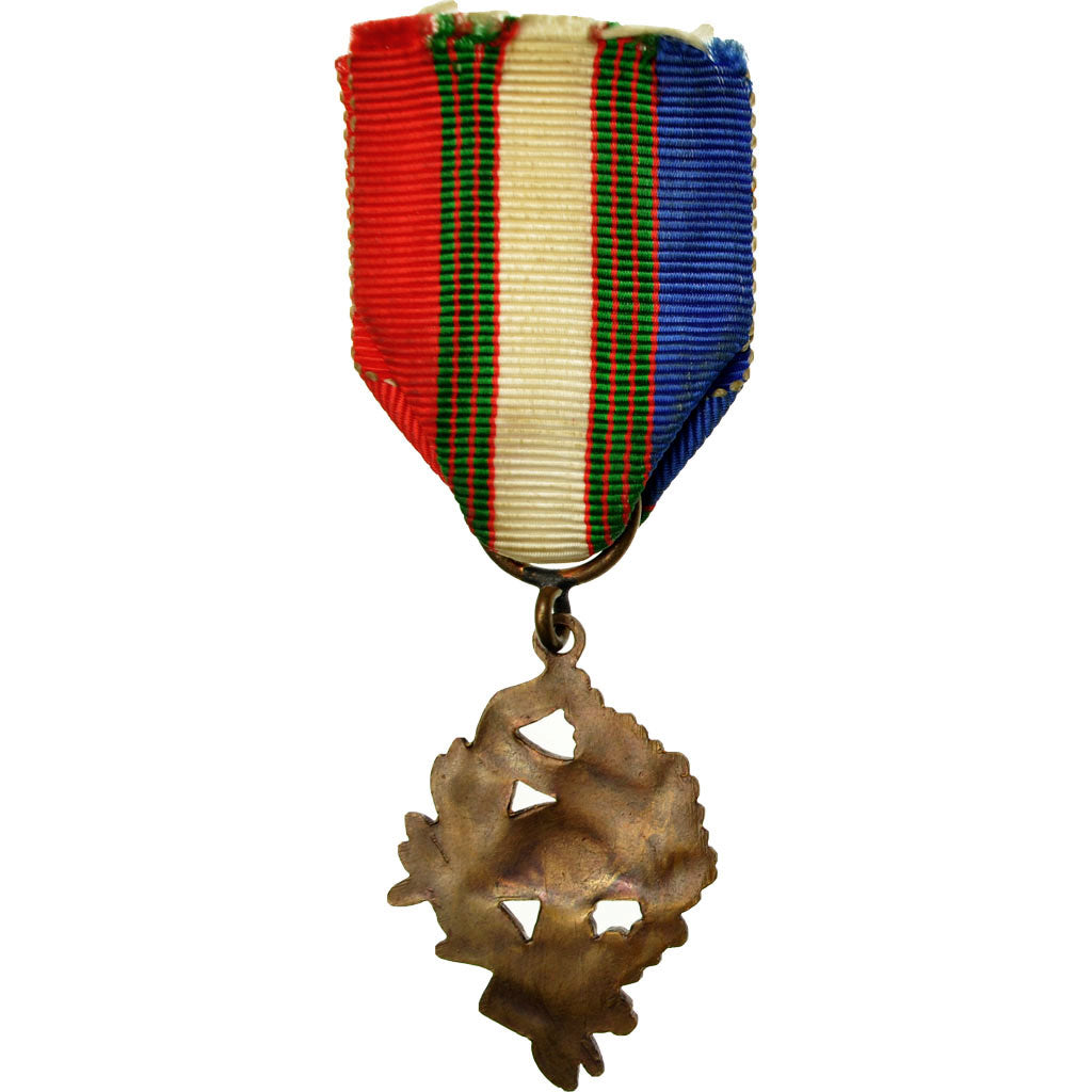France, Mérite UNC, Droits des Combattants, Médaille, Excellent Quality