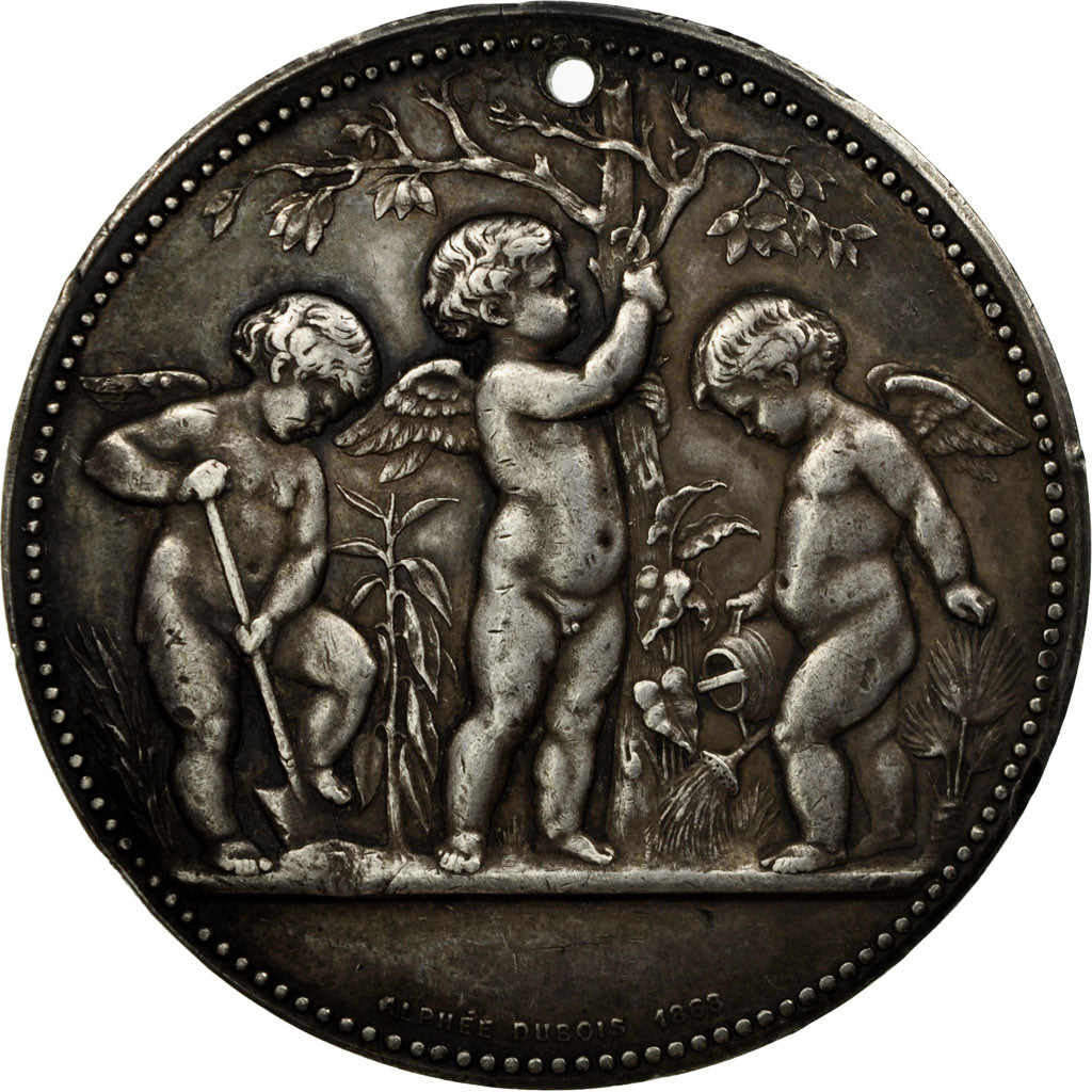 Francia, medaglia, Comice de Dinan, Exploitations Horticoles, 1875, Dubois.A