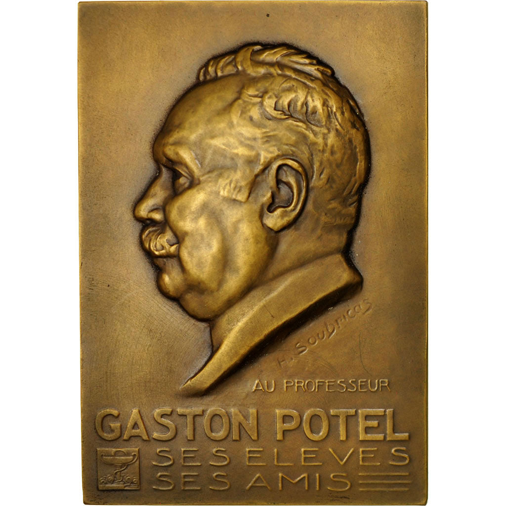 Francia, medaglia, Médecine, Professeur Gaston Potel, H. Soubricas, SPL, Bronzo