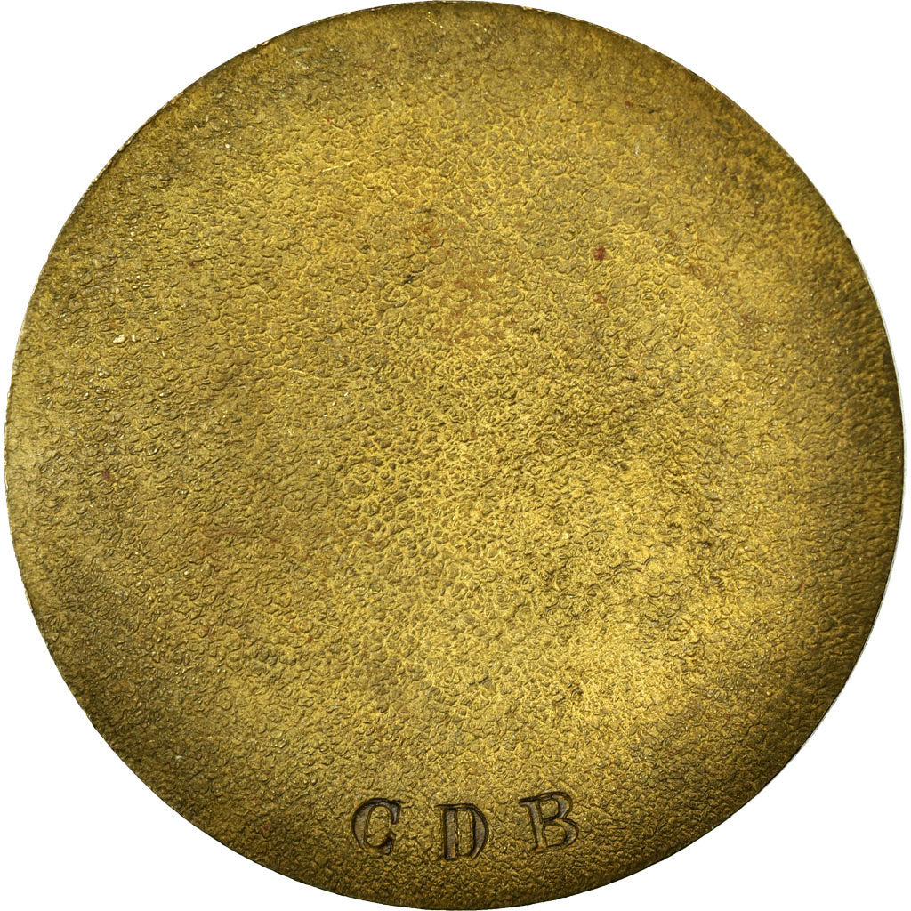 France, Medal, Victor Hugo, AU(50-53), Gilt Bronze