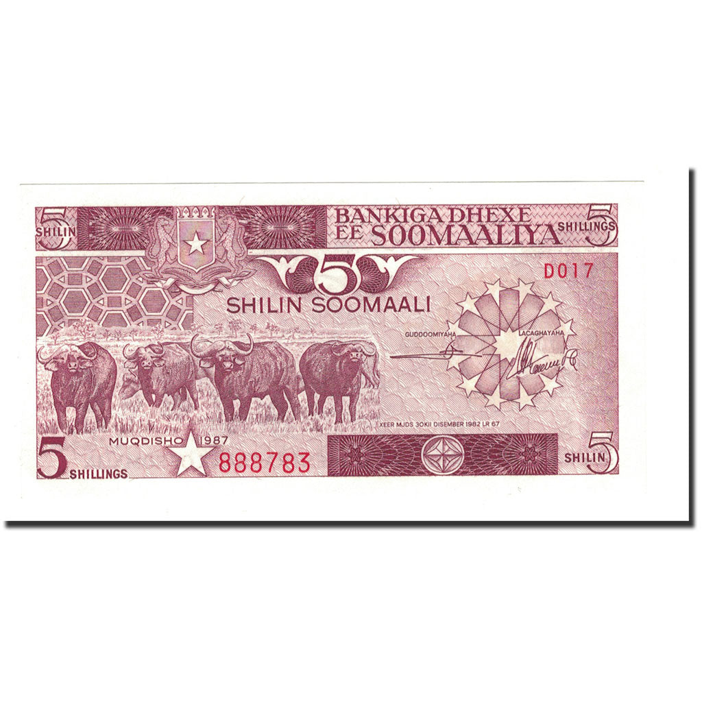 Geldschein, Somalia, 5 Shilin = 5 Shillings, 1983-1987, 1987, KM:31c, UNZ