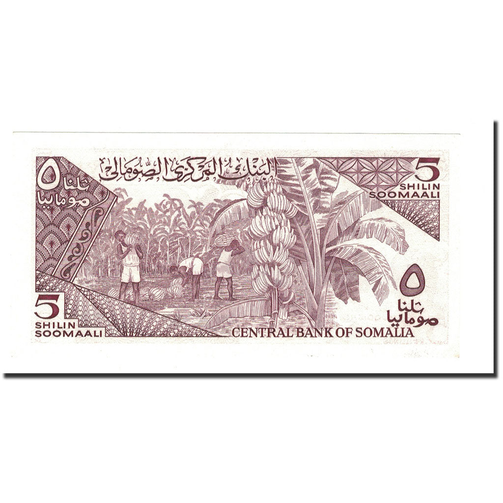 Geldschein, Somalia, 5 Shilin = 5 Shillings, 1983-1987, 1987, KM:31c, UNZ