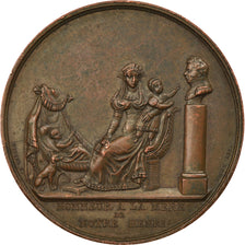 France, Medal, Duchesse de Berry, Mère du Duc de Bordeaux, History, ND (1820)