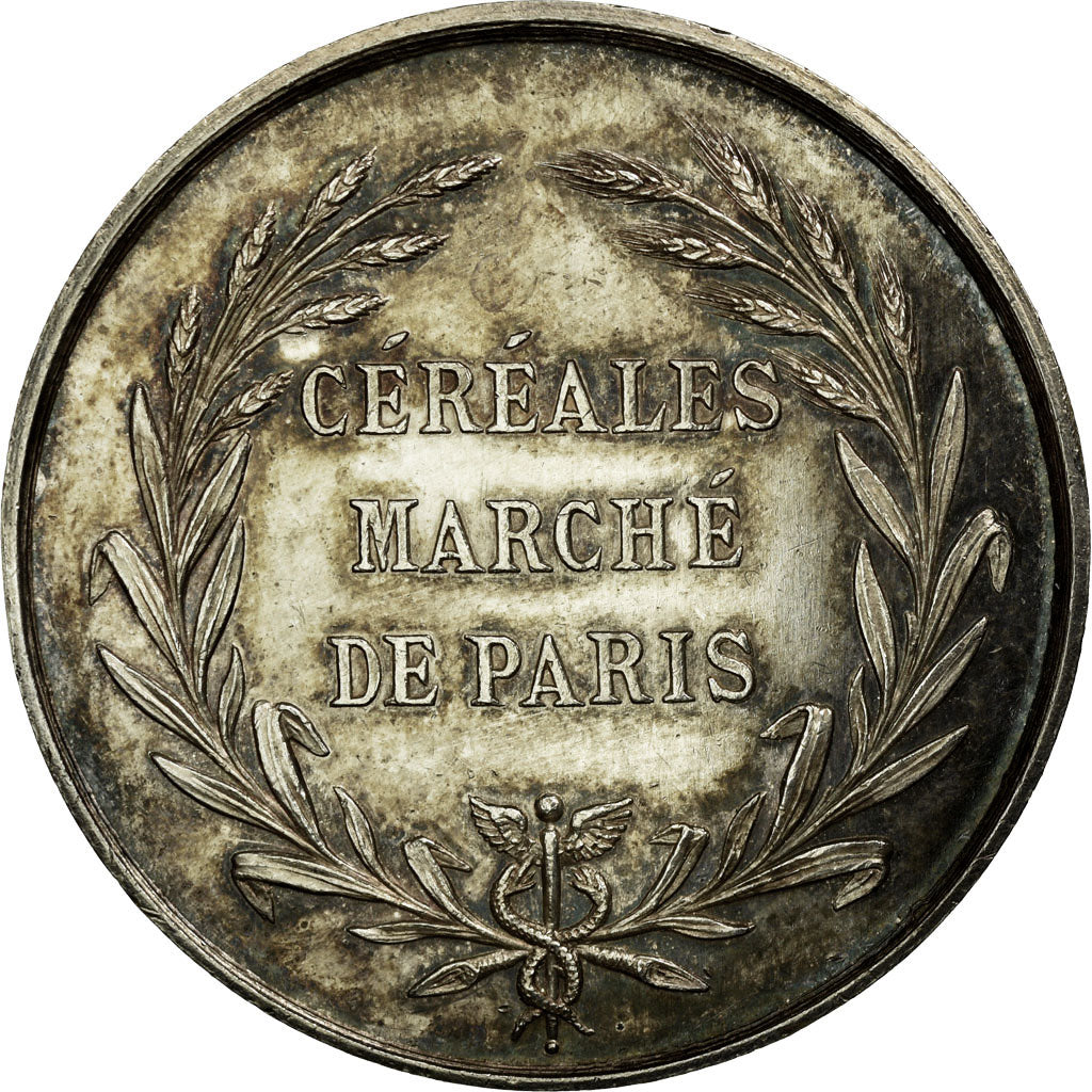 France, Token, Trades, 1873, AU(55-58), Silver