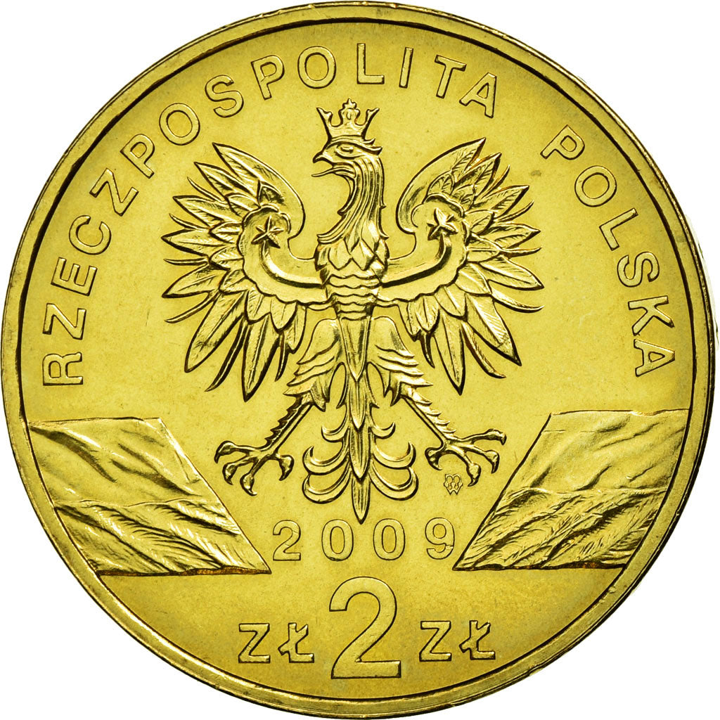 Moneda, Polonia, Green Lizards, 2 Zlote, 2009, Warsaw, EBC, Latón, KM:678