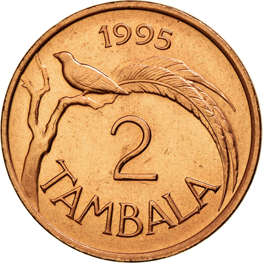 Monnaie, Malawi, 2 Tambala, 1995, TTB, Copper Plated Steel, KM:25