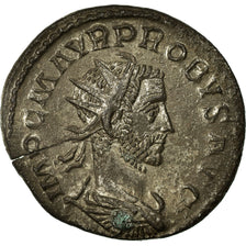 Probus, Antoninianus, Billon, VZ+, Cohen:401