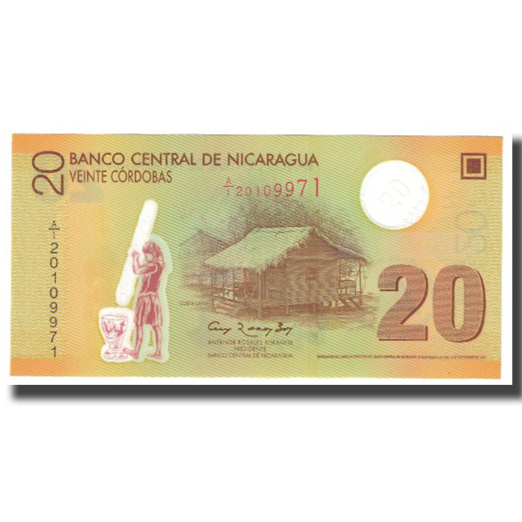 Banknote, Nicaragua, 20 Cordobas, 2007, 2007-09-12, KM:202, UNC(65-70)