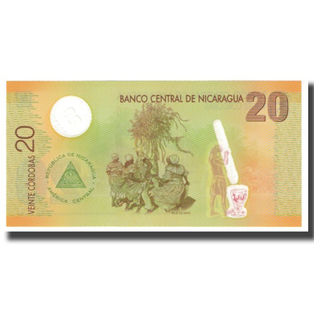 Banknote, Nicaragua, 20 Cordobas, 2007, 2007-09-12, KM:202, UNC(65-70)