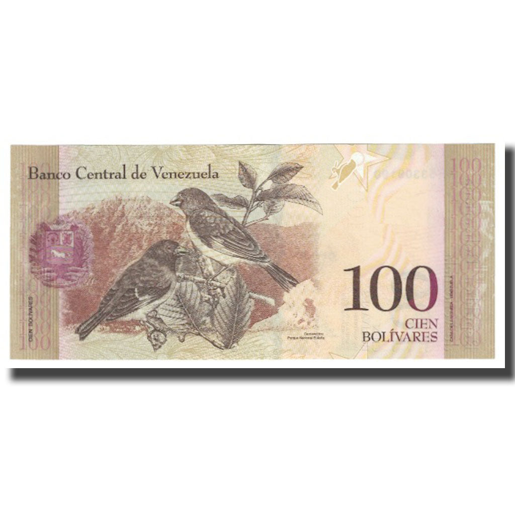 Nota, Venezuela, 100 Bolivares, 2013, 2013-10-29, KM:93a, UNC(65-70)