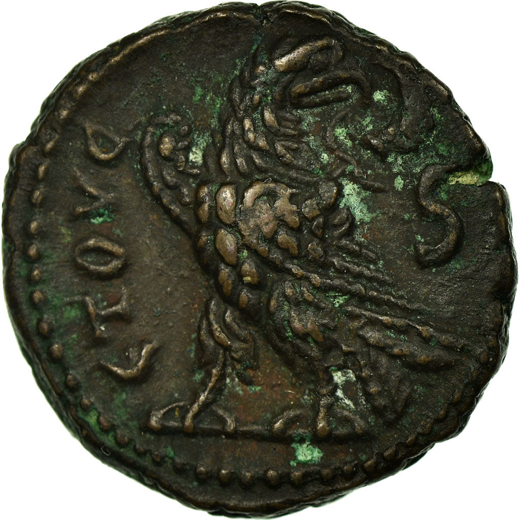 Severina, Tetradrachm, Alexandria, Copper, AU(55-58)