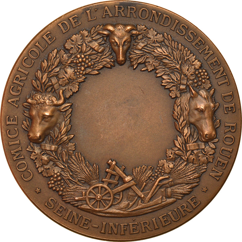 France, Medal, Comice Agricole de Rouen, Lagrange, MS(63), Bronze