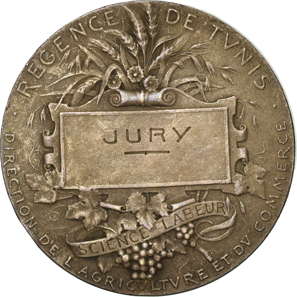 Francia, medaglia, French Third Republic, Argento, Dubois.A, BB+