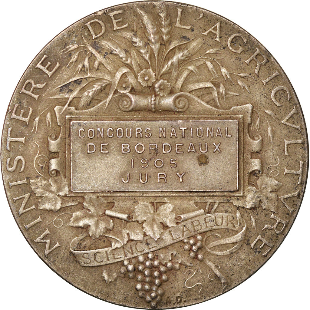 Francja, medal, Trzecia Republika Francuska, 1905, Srebro, Dubois.A, EF(40-45)