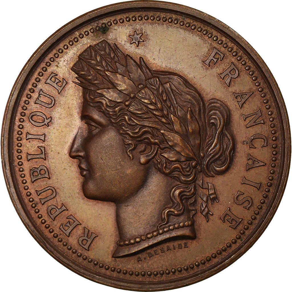 France, Médaille, French Third Republic, 1890, Bronze, Desaide, SUP