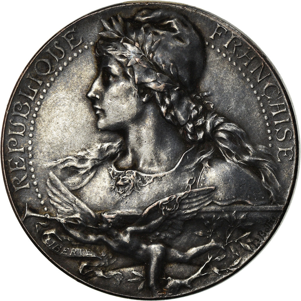France, Médaille, French Third Republic, Bronze, Bottée, TTB+