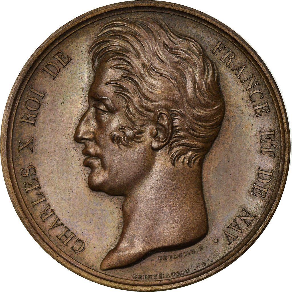 França, medalha, Carlos X, Visite de Troyes, 1828, Bronze, Depaulis, AU(55-58)