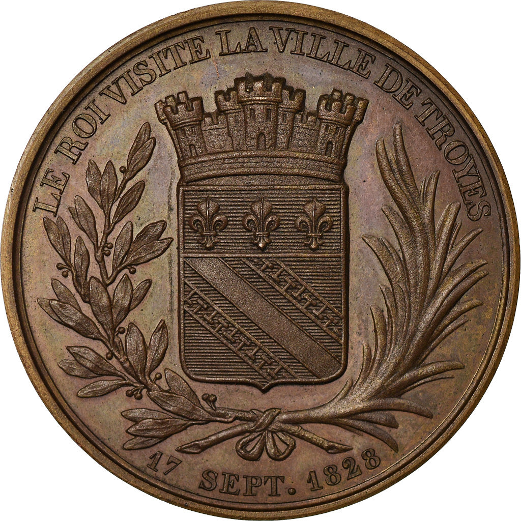 França, medalha, Carlos X, Visite de Troyes, 1828, Bronze, Depaulis, AU(55-58)
