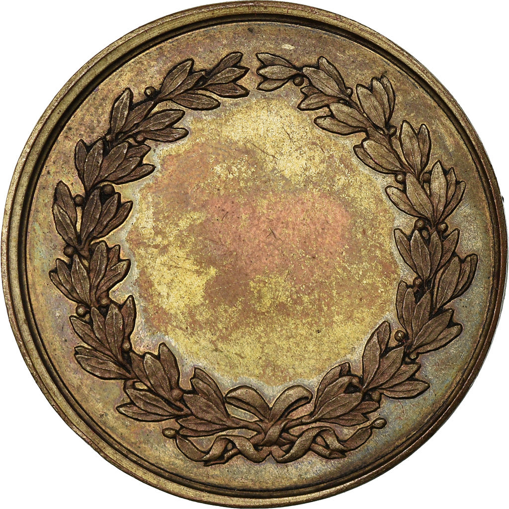 Frankreich, Medaille, French Third Republic, Kupfer, Domard, SS+