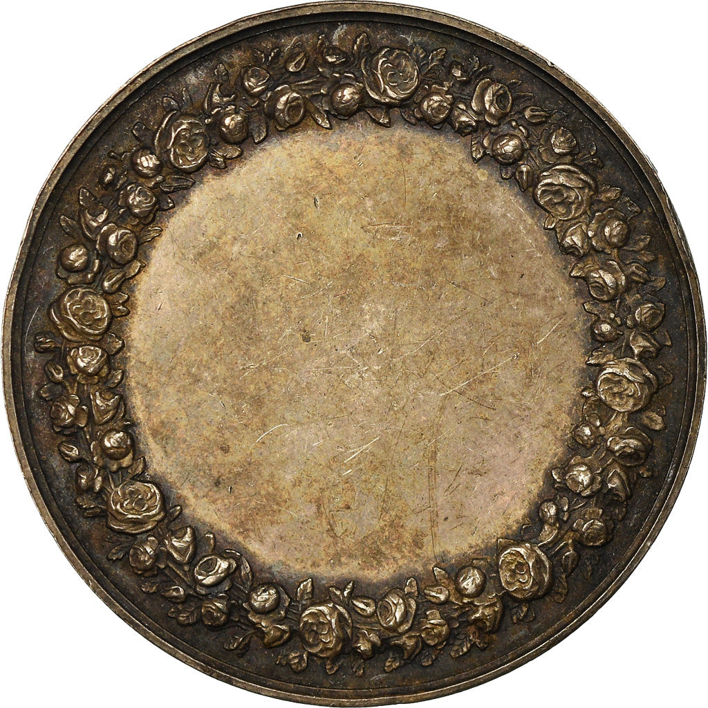 France, Medal, French Third Republic, Silver, Petit, AU(55-58)