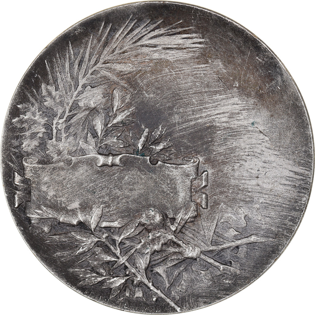 France, Medal, Marianne, République Française, Roty, MS(63), Silvered bronze