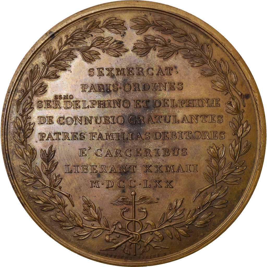 França, medalha, Luís XV, Mariage du Dauphin, 1770, Bronze, Rottiers
