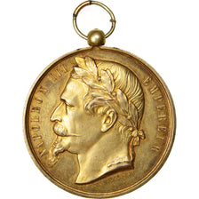 Frankreich, Medaille, Second French Empire, 1867, Vermeil, Desaide, SS+