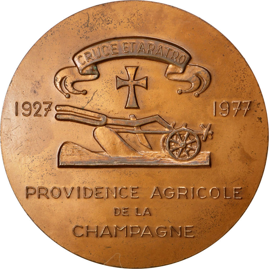 France, Médaille, French Fifth Republic, 1977, Bronze, Leognany, TTB+