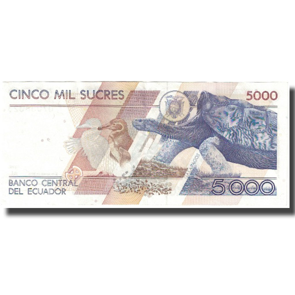 Billete, 5000 Sucres, 1995, Ecuador, 1995-08-08, KM:128b, EBC