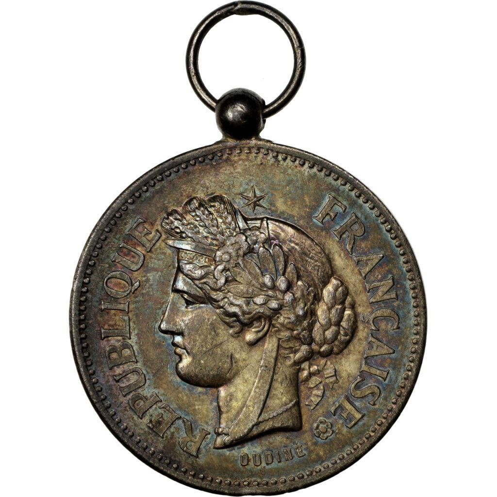 France, Médaille, French Third Republic, 1895, Argent, Oudiné, SUP