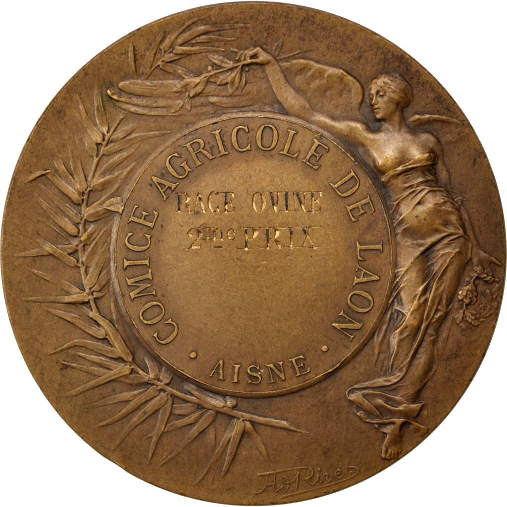 France, Médaille, French Third Republic, Bronze, Rivet, TTB