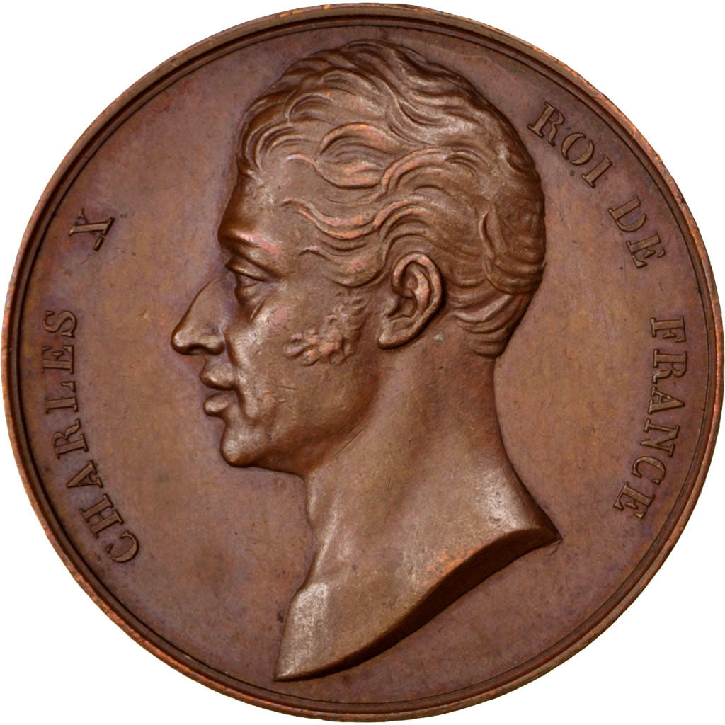 France, Médaille, Charles X, 1824, Bronze, SUP